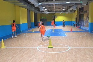  标题：哪里可以找到专业的篮球训练录像？深入探讨与实用指南